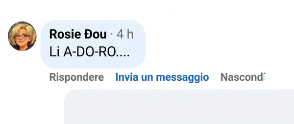 Avis client